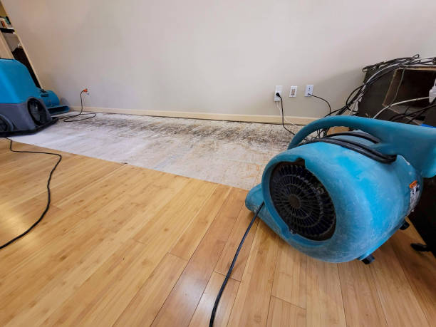 Professional Ceiling Water Damage Repair technician working in Pescadero, CA